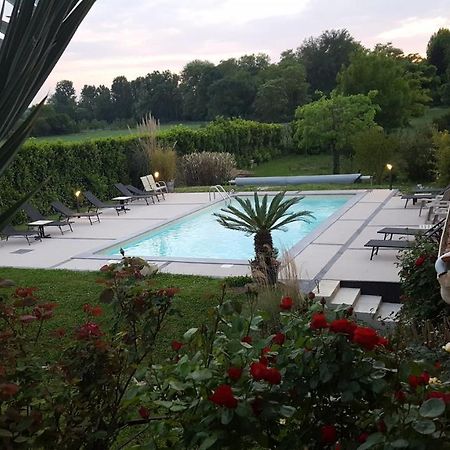Chambres D'Hotes Les Palmiers De La Cite Carcassonne Zewnętrze zdjęcie