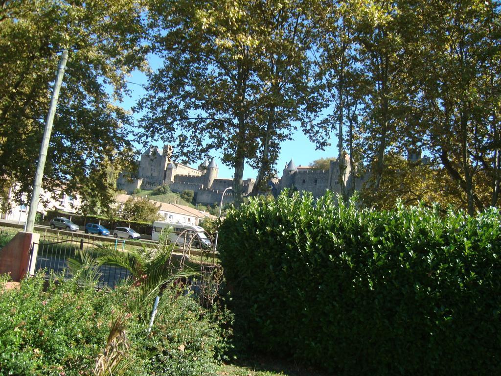Chambres D'Hotes Les Palmiers De La Cite Carcassonne Zewnętrze zdjęcie