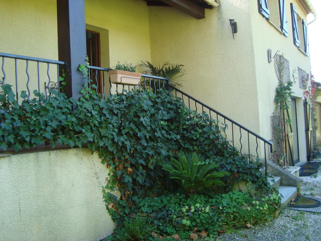 Chambres D'Hotes Les Palmiers De La Cite Carcassonne Zewnętrze zdjęcie