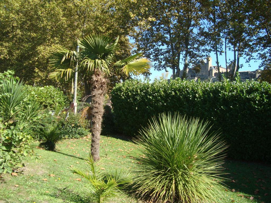 Chambres D'Hotes Les Palmiers De La Cite Carcassonne Zewnętrze zdjęcie