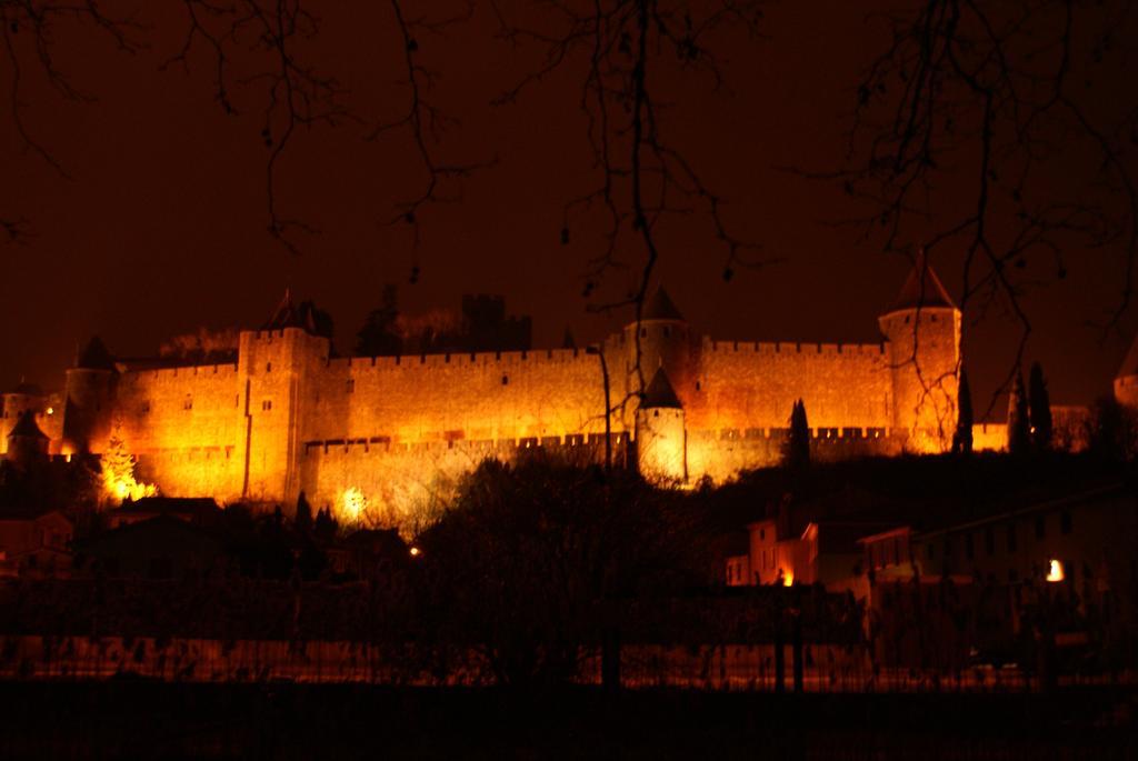 Chambres D'Hotes Les Palmiers De La Cite Carcassonne Zewnętrze zdjęcie
