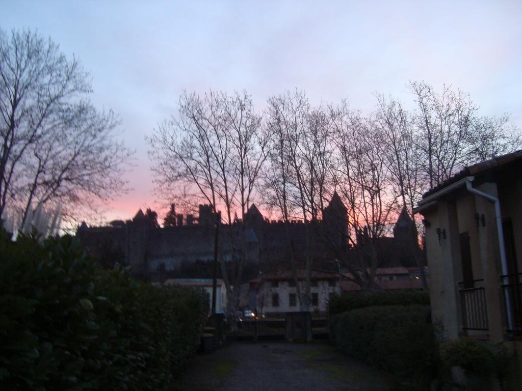 Chambres D'Hotes Les Palmiers De La Cite Carcassonne Zewnętrze zdjęcie