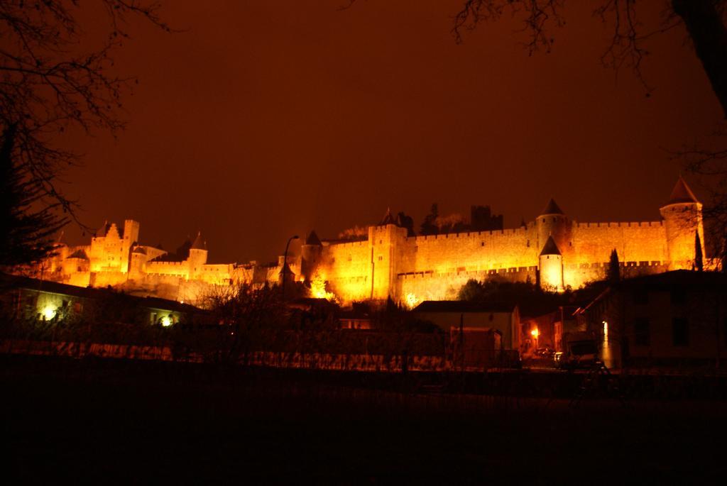 Chambres D'Hotes Les Palmiers De La Cite Carcassonne Zewnętrze zdjęcie