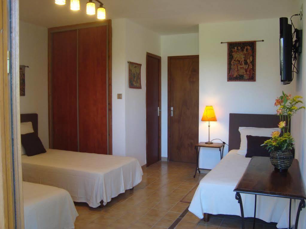 Chambres D'Hotes Les Palmiers De La Cite Carcassonne Zewnętrze zdjęcie