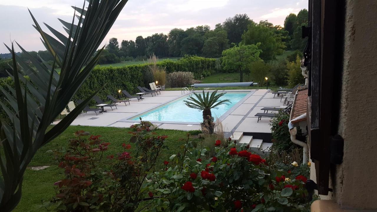 Chambres D'Hotes Les Palmiers De La Cite Carcassonne Zewnętrze zdjęcie